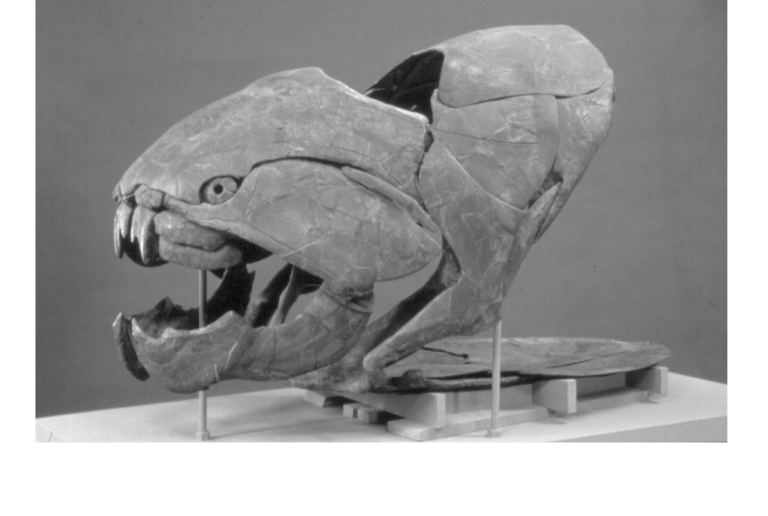 Rock Out! FossilHunting in Ohio