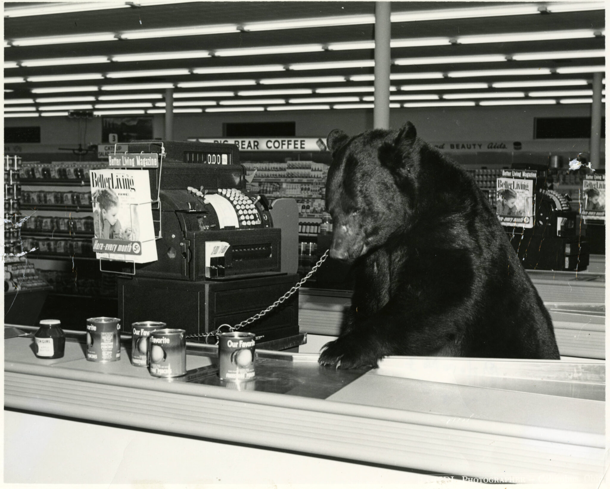 Big Bear: The Original Columbus Supermarket